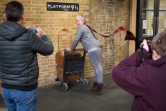 39213413354_0a741501da_b